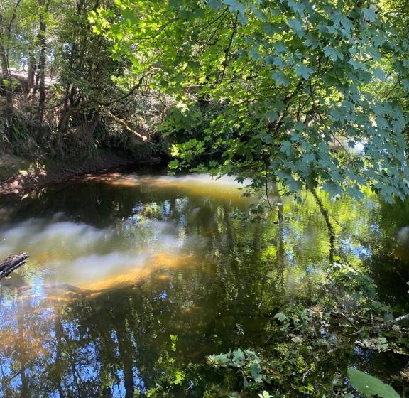 El Encanto De Antilhue