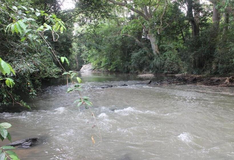Forest Tree Top Holiday Resort