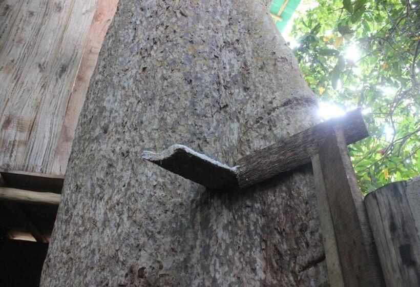 Forest Tree Top Holiday Resort