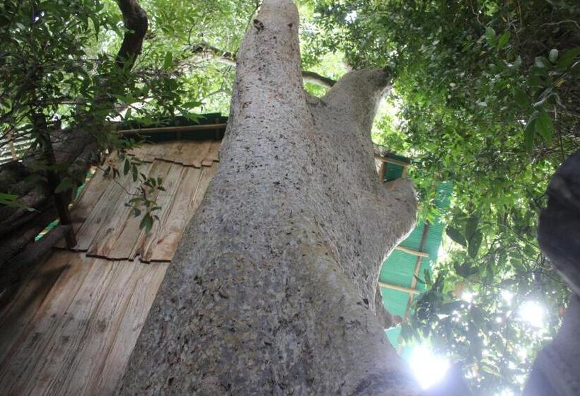 Forest Tree Top Holiday Resort