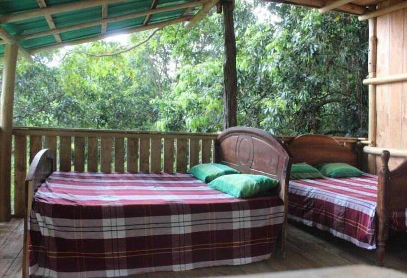 Forest Tree Top Holiday Resort