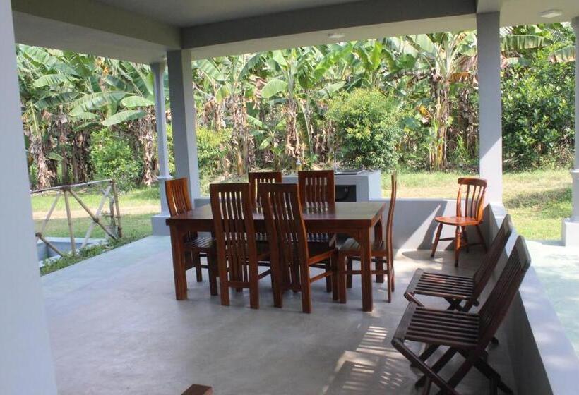 Forest Tree Top Holiday Resort