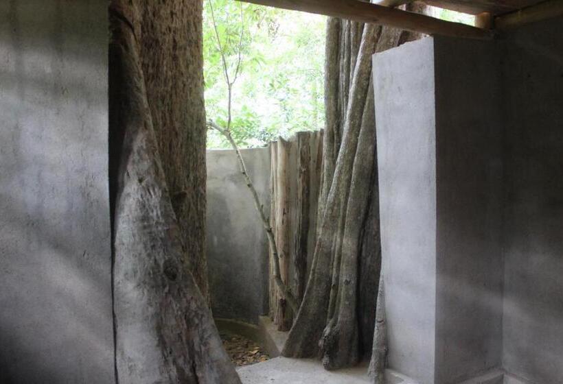 Forest Tree Top Holiday Resort