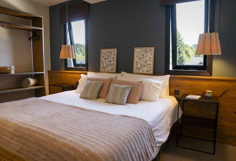 Gluck Patagonia Aparts