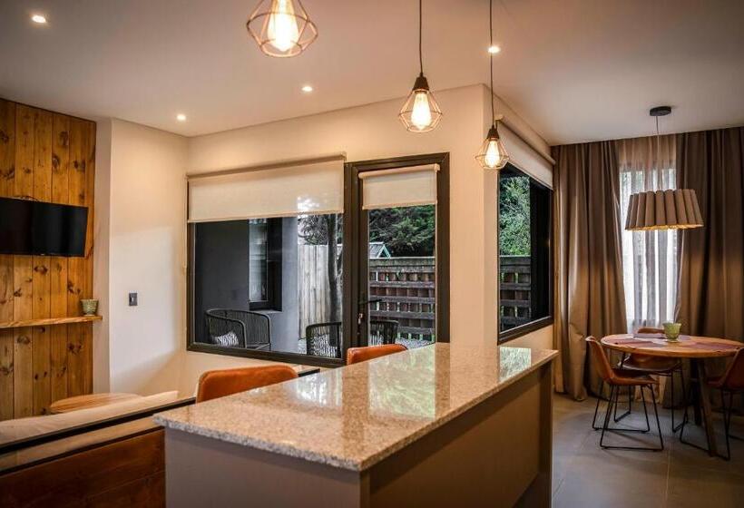 Gluck Patagonia Aparts