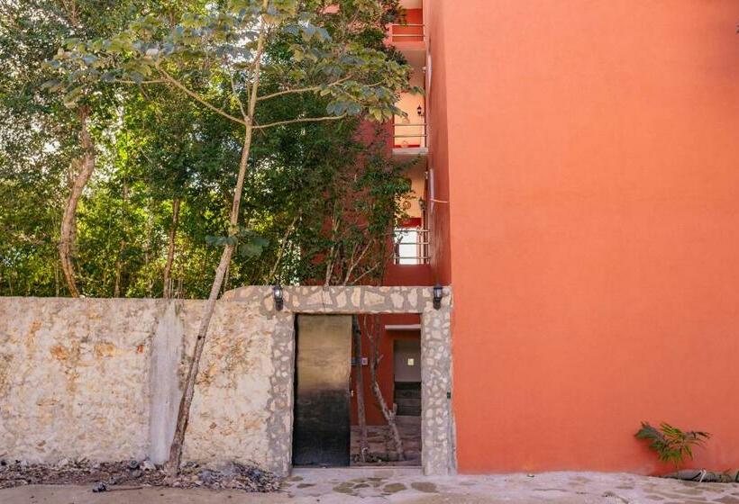 ホテル Chaca Tulum