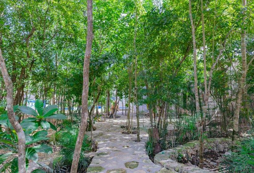 ホテル Chaca Tulum