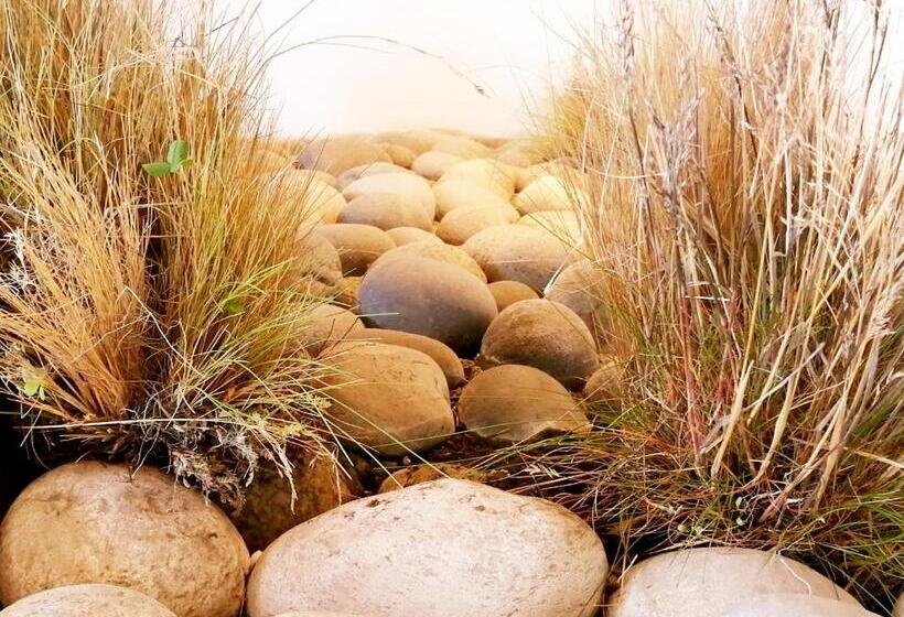 בית מלון כפרי Costanera