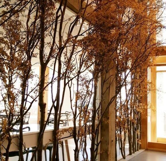 בית מלון כפרי Costanera