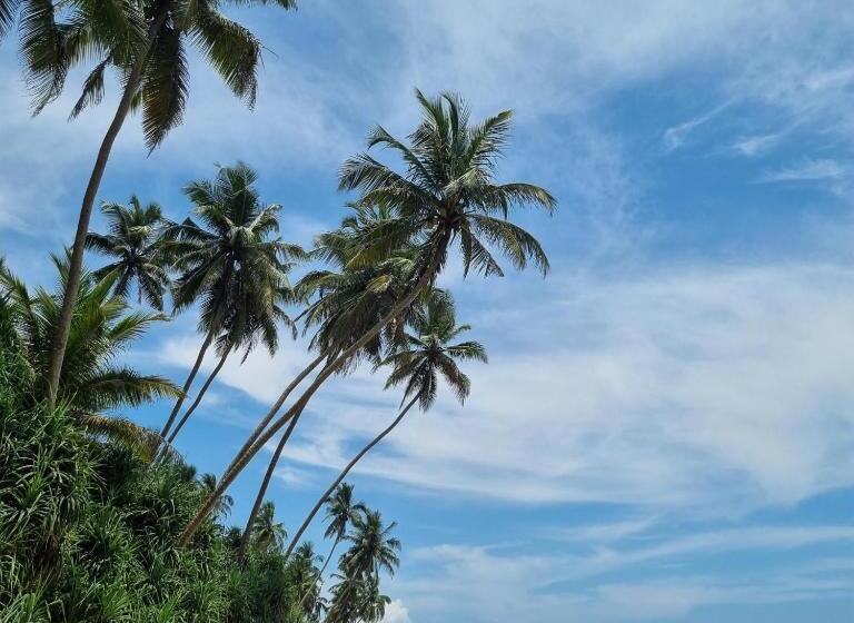 호텔 Dhammika Beach Palace