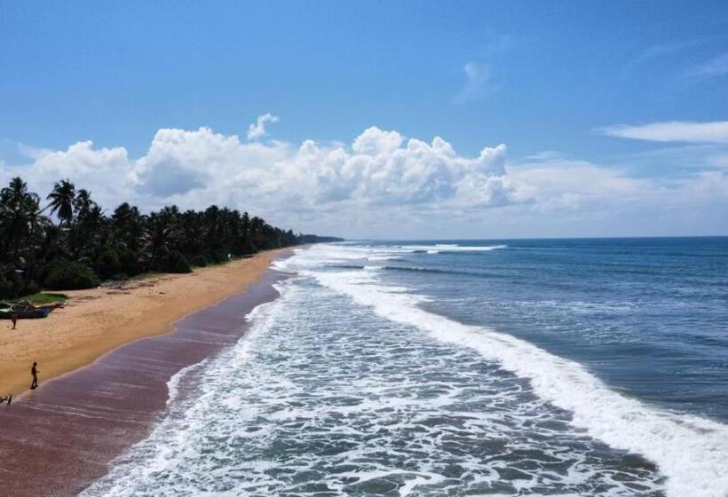 호텔 Dhammika Beach Palace