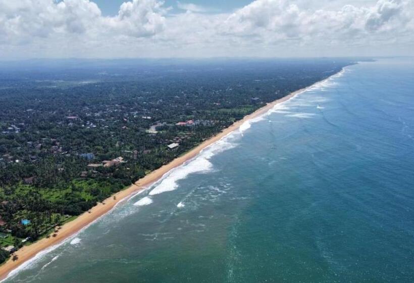 호텔 Dhammika Beach Palace