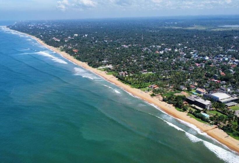 호텔 Dhammika Beach Palace