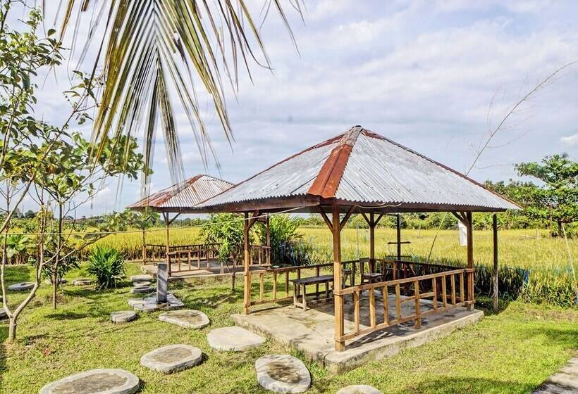 Отель Spot On 92005 Jabu Sihol