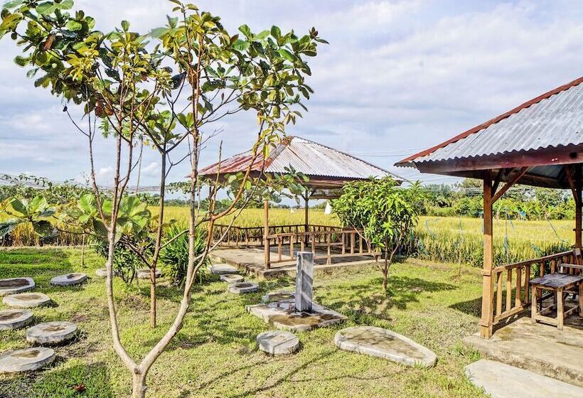 Отель Spot On 92005 Jabu Sihol