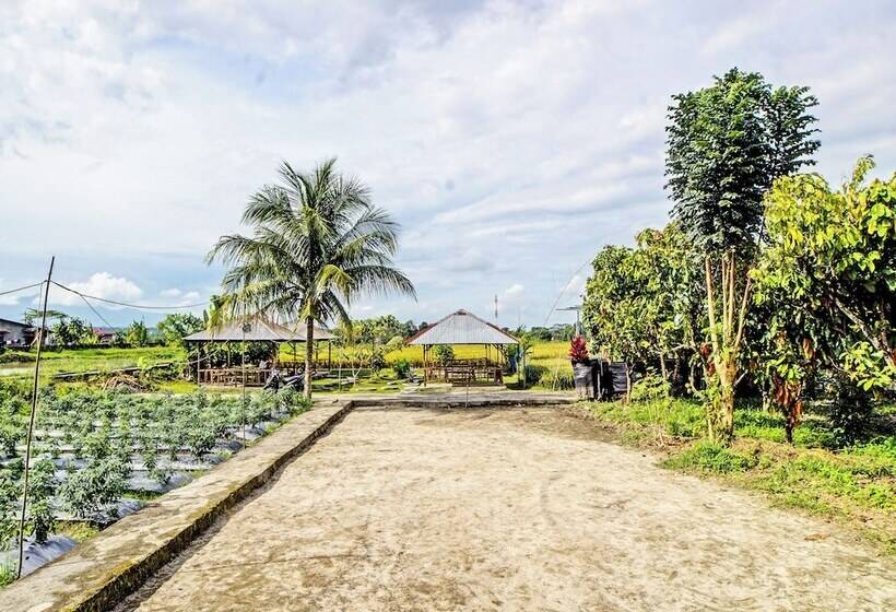 Отель Spot On 92005 Jabu Sihol