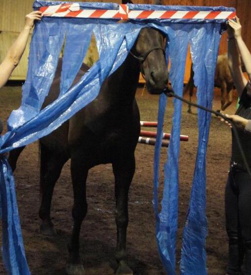 فندق Stadnina Koni Kierzbuń