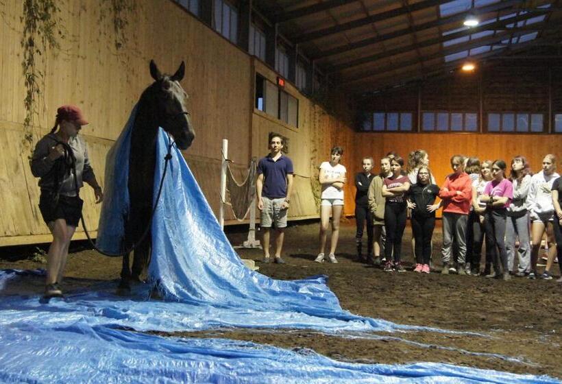 فندق Stadnina Koni Kierzbuń