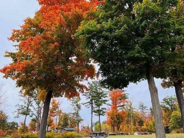 汽车旅馆  Calabogie Motor Inn
