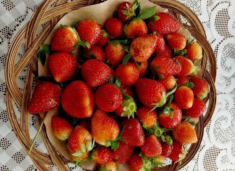 فندق على الطريق Wisma Mangurna