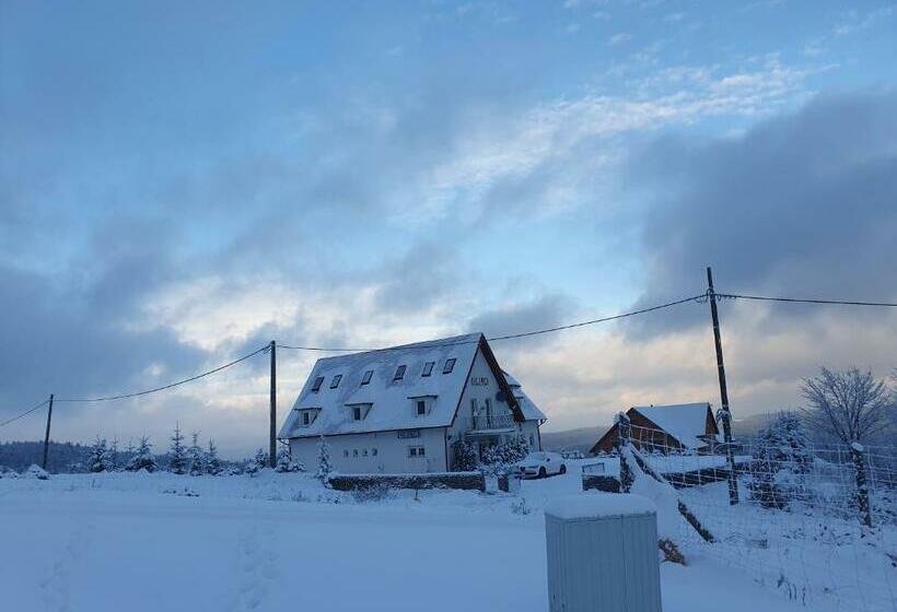 פנסיון Criw Orlik