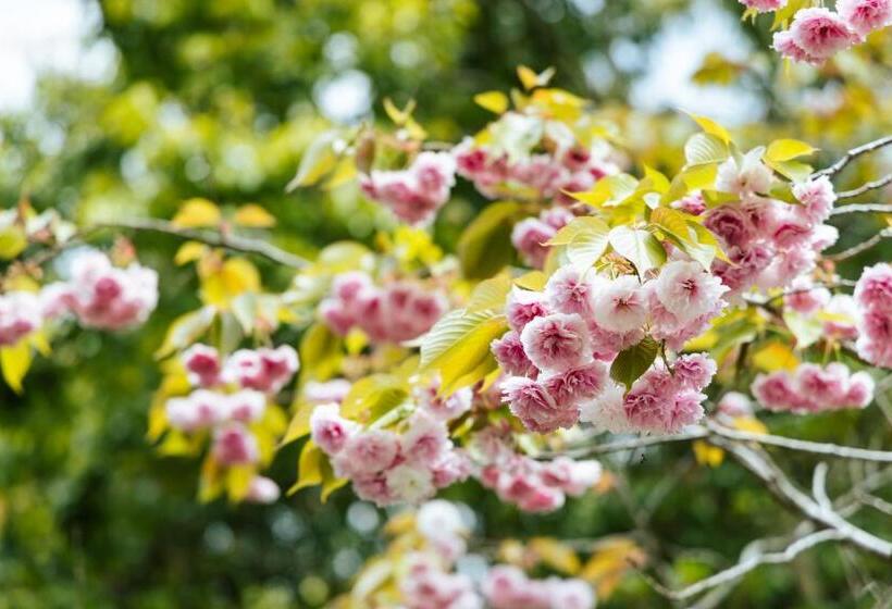 Pension 木木木木 Kigi Moku Moku