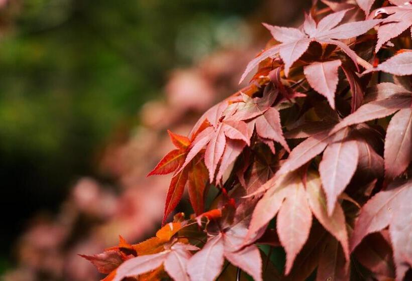 Pension 木木木木 Kigi Moku Moku