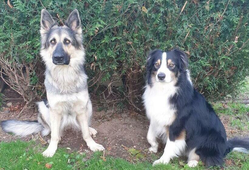 Пансион Lou Majyla