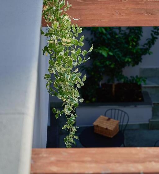 پانسیون Mamaco Foggia Centro