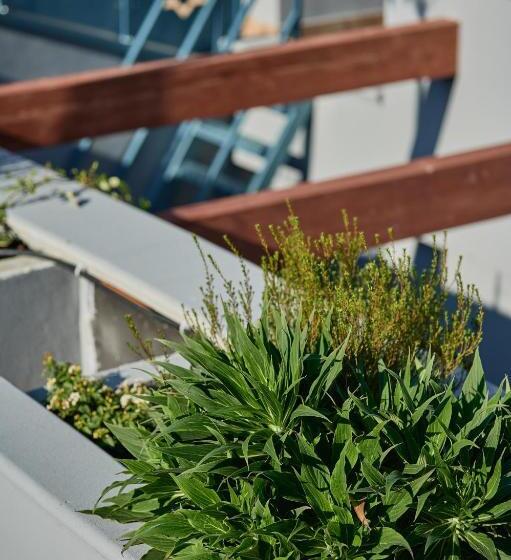 پانسیون Mamaco Foggia Centro