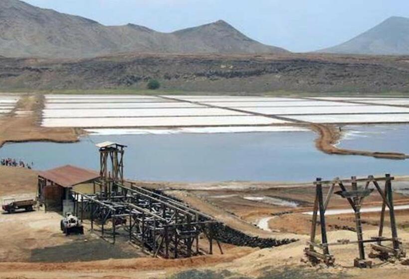 פנסיון Nifa House