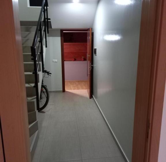 פנסיון Nifa House