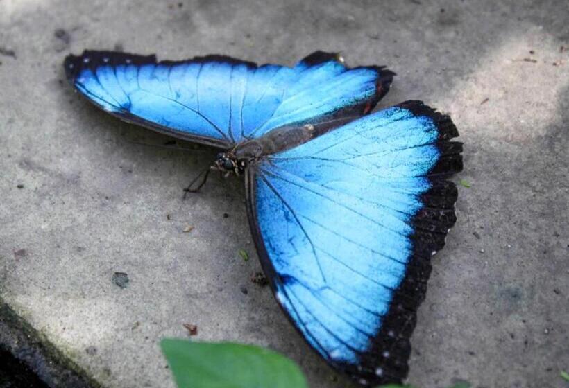 بنسيون Panchigua Hostel