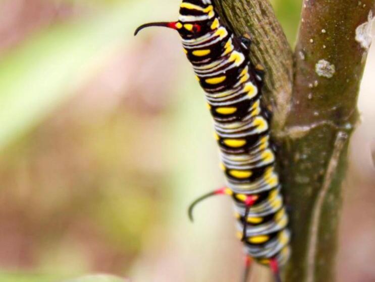 بنسيون Panchigua Hostel