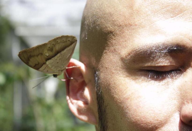 بنسيون Panchigua Hostel