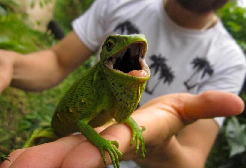 بنسيون Panchigua Hostel