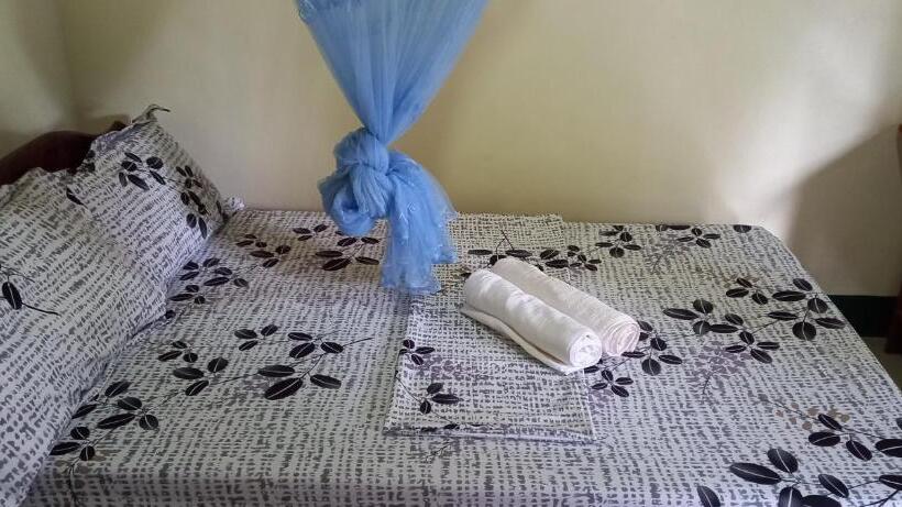 פנסיון Rodel Yellow Hauz