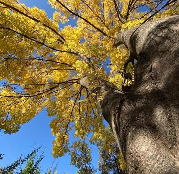 هاستل Terra Campo Posada