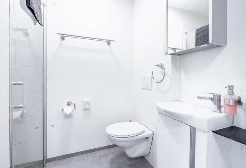 Anstatthotel Goldau   Self Check In