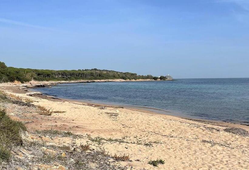 Residence Baia Delle Palme