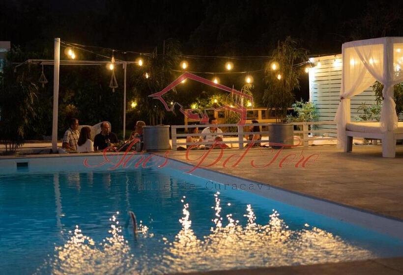 مبيت وإفطار Cabañas Aires Del Toro, Boutique & Bb  Curacavi