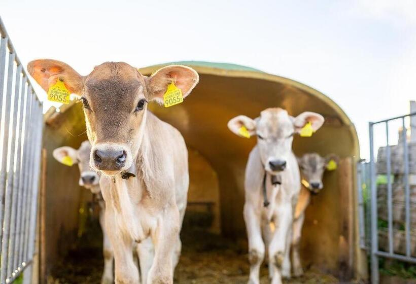 צימר Gästehaus Aemisegg