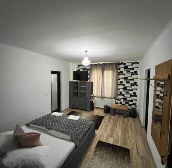 민박 Guesthouse Viktoria Pensiune