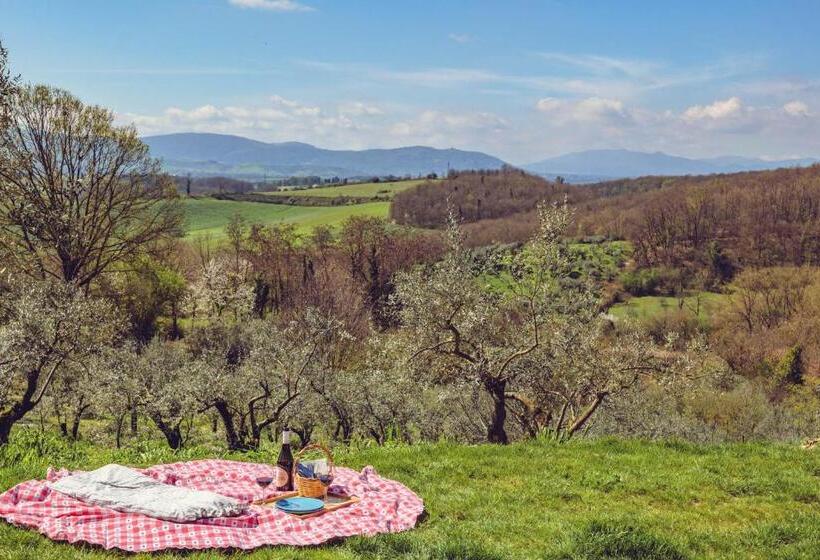 צימר Olio Su Tela