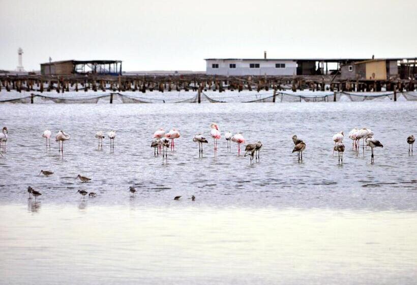 ベッドアンドブレックファースト River Dreams