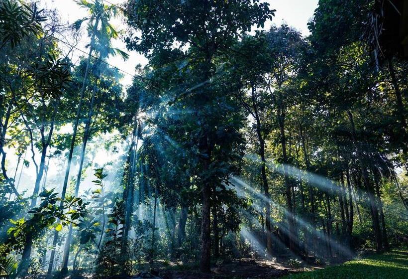 مبيت وإفطار Vanajyotsna Forest Home