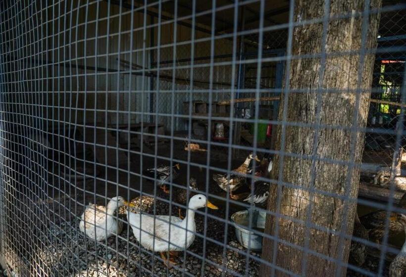 مبيت وإفطار Vanajyotsna Forest Home