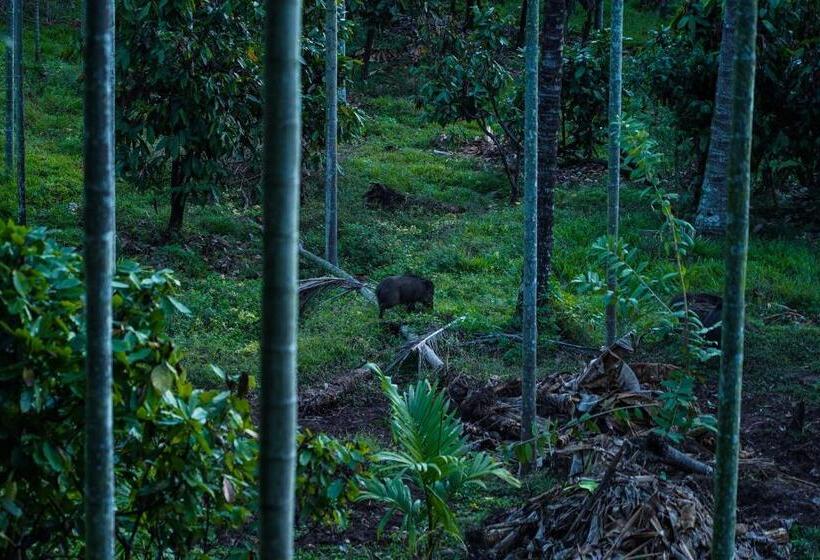 مبيت وإفطار Vanajyotsna Forest Home