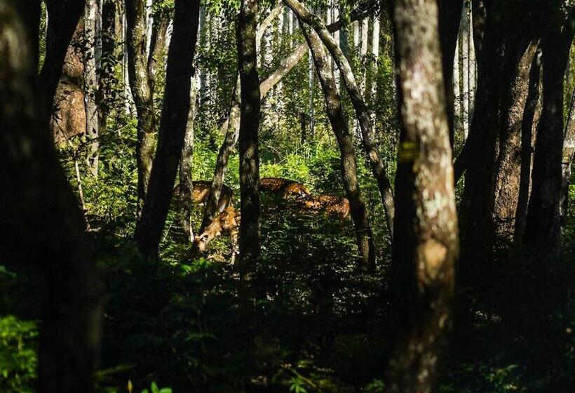 مبيت وإفطار Vanajyotsna Forest Home