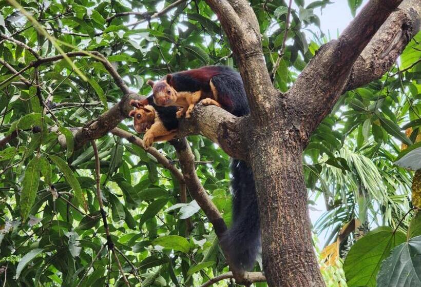 مبيت وإفطار Vanajyotsna Forest Home
